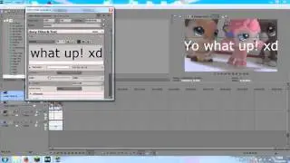 Sony Vegas Pro 13: A beginner's Guide