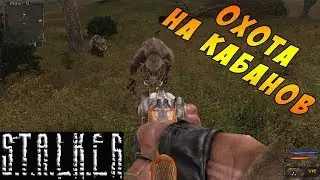 S.T.A.L.K.E.R.: Тень Чернобыля || Охота на кабанов #2 + Застрял на крыше