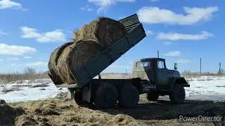 Сено привезли.. Сало скоптили... Покупки сделаны.. Семья в деревне