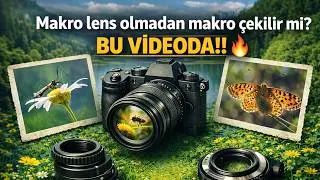 Makro İçin Pahalı Ekipmanlara Gerek Yok! İşte Tüm Yöntemler