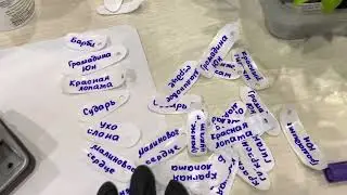 Делаем бирки для маркировки сортов томатов и перцев.
