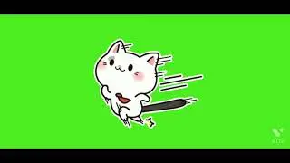 cat running green screen effect 😊