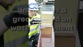 Sydney's water quality