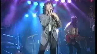 桑名正博　馬鹿な男のR＆R