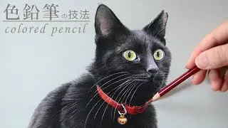 【イラスト】色鉛筆でリアルな黒猫を描く/アクリル絵具/イラストメイキング