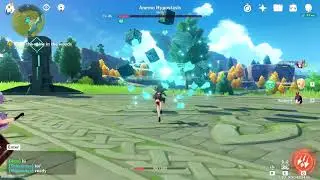 Genshin Impact : Anemo Hypostasis Boss Duo Co-op fight