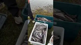 Тебя это е….ть не должно !