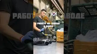 Сколько мне платят на корейском заводе 