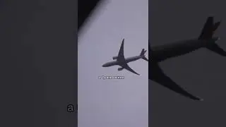 Обмануть смерть 7 раз. История Франо Селака