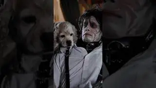 Edward Scissorhands meets my dog #edwardscissorhands #cute #asmr #shortfilm