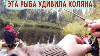 В тайгу на неделю с Коляном. День5. Нас ждёт таёжный хариус.