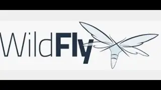 How to configure ssl certificate in wildfly server step by step