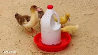 Bebedero casero para patitos