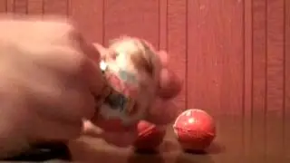 Открываем киндер сюрприз