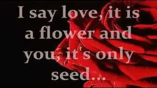 THE ROSE (Lyrics) - SANDY LAM 林憶蓮