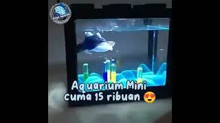 Cantiknya aquarium mini