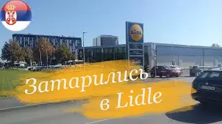 Закупка в Lidl на неделю в Сербии
