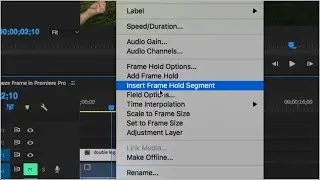 How to Freeze Frame in Premiere Pro