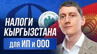 Налоги Кыргызстана для ИП и ООО \ Какой налоговый режим выбрать ? 