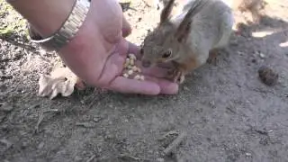 2016 05 04 3