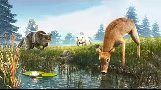 The Wolf avlanma  the Wolf hunting