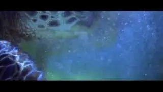 Видео море и небо снятое Джереми Снеллом.