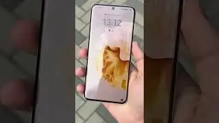 Huawei P60 Pro Design & Display | 