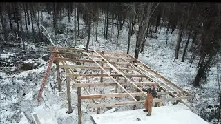 Starting the purlins and falling a dead tree!!