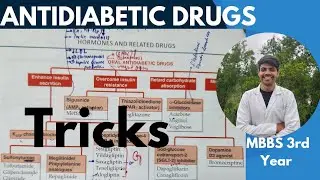 100% Remember All Drugs With Me || Antidiabetic Drug In Pharmacology With Simple Tricks