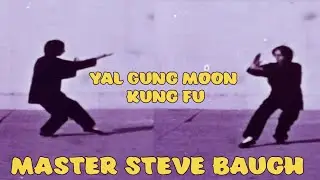 Master Steve Baugh