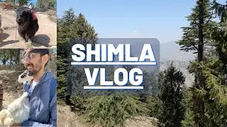 Shimla Trip - March 2022 | Oberoi Cecil Hotel | Kufri & Mall Road | Himachal Pradesh | Vlog 9