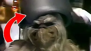Chewbacca's dad watching VR PORN (1978)