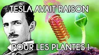 Visite d'un jardin qui utilise l'Electroculture