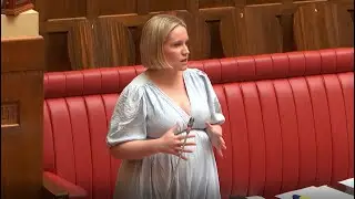 Speech - Children and Young People (Safety and Support) Bill