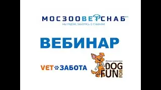 Нечистоплотное поведение собак