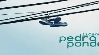 Pedro Pondé - Licença