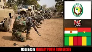 ECOWAS vs Niger, Burkina Faso, Mali, Guinea 2023 | Military Power Comparison