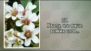 Гимны надежды 97 Хвалу, что выше всяких слов... (-)