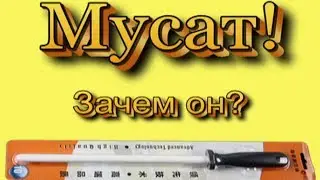 МУСАТ ЗАЧЕМ ОН?