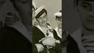 Paws on deck: the history of ship's cats