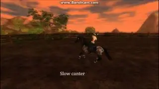 Star Stable Online || New Appaloosa Horse