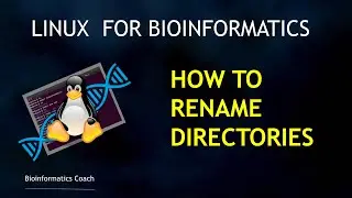 Linux for Beginners Bioinformatics | How to rename files and directories (mv)