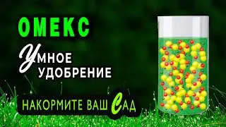 Fertilizers for foliar feeding Omex. Features of application