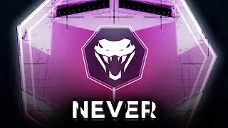 VIPER - NEVER