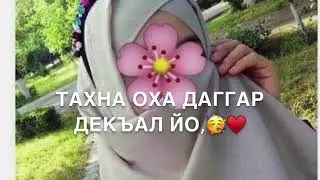 Дала декъал йойл хьо Амина❤️
