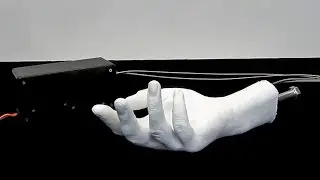 Animatronic Hand Display