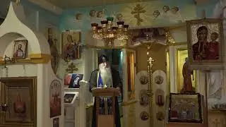 Пресвятая Богородица вытаскивает из глубины грехов всех, за кого молишься.