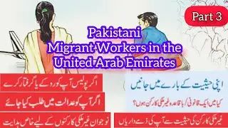Unraveling the Untold Saga of Pakistani Migrant Workers in the UAE