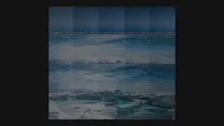 Billie Marten - Bird Lyrics