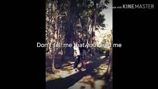 Mean it - Lauv & LANY ( lyrics)